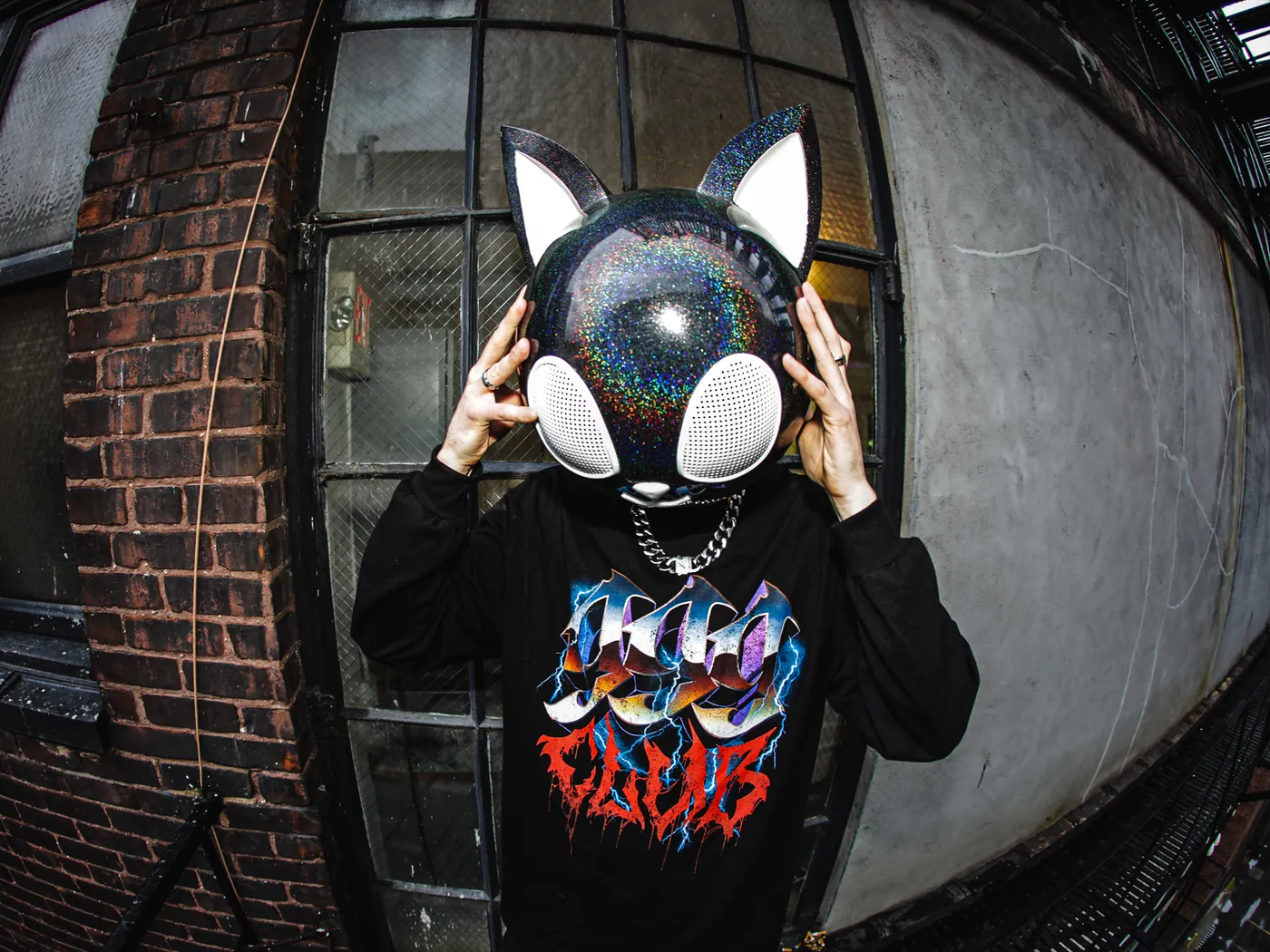 Cyber Sphinx in his black cat helmet