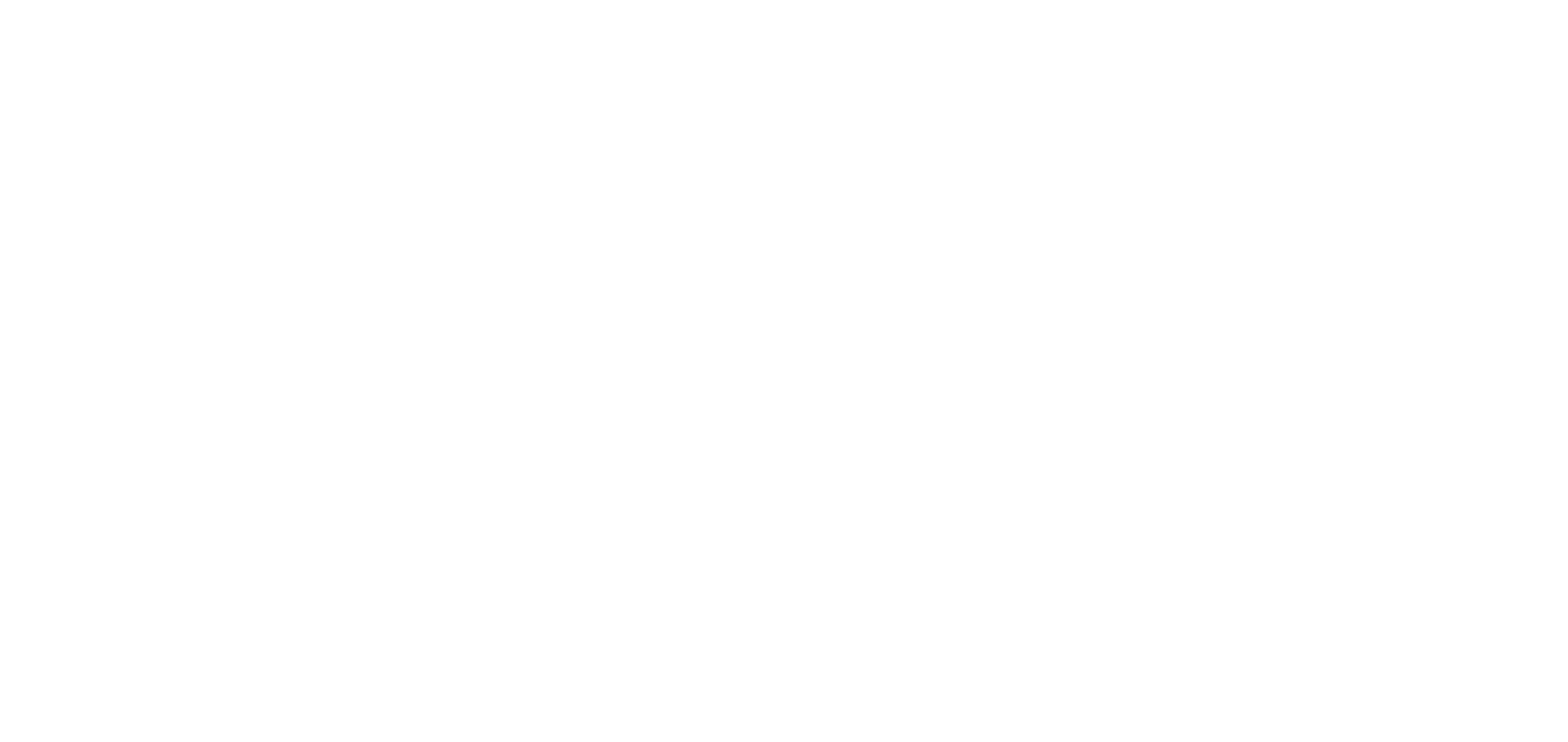 Cyber Sphinx